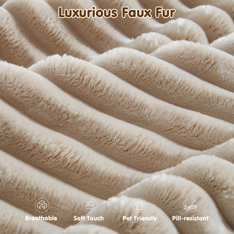 بيج فاتح كوردروي